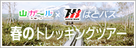 山ガールネット×はとバス 春のトレッキングツアー