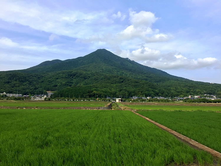 筑波山 つくばさん 山ガールのための山歩きガイド コースガイド 女性のための登山情報サイト 山ガールネット