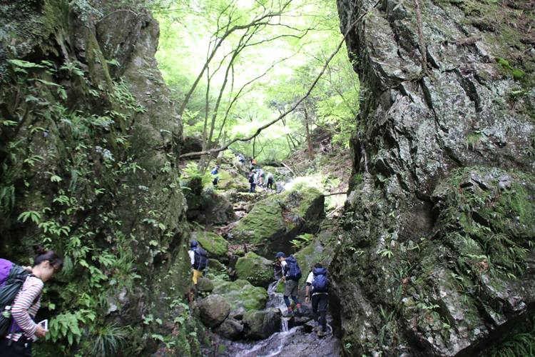 棒ノ折山 棒ノ嶺 山ガールのための山歩きガイド コースガイド 女性のための登山情報サイト 山ガールネット