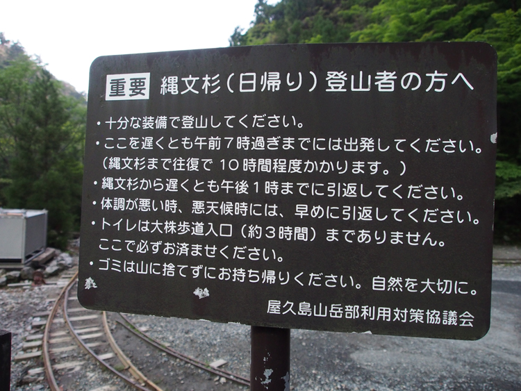 屋久島 縄文杉トレッキングコース 山ガールのための山歩きガイド コースガイド 女性のための登山情報サイト 山ガールネット