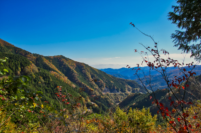 女性のための登山情報サイト 山ガールネット