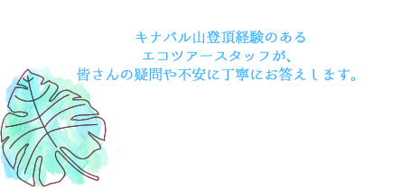 キナバル山登頂経験のあるエコツアースタッフが、皆さんの疑問や不安に丁寧にお答えします。