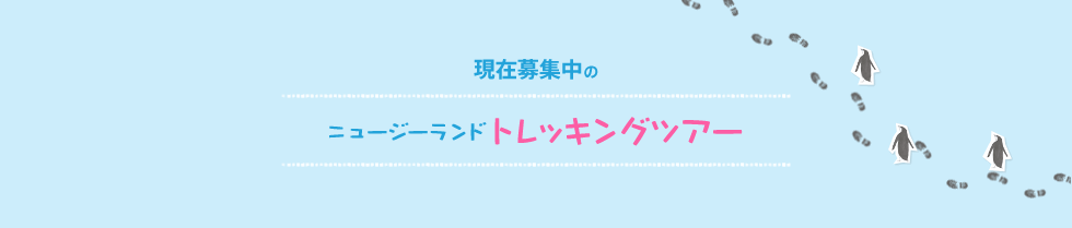 現在募集中のニュージーランドトレッキングツアー