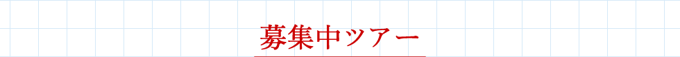 募集中ツアー